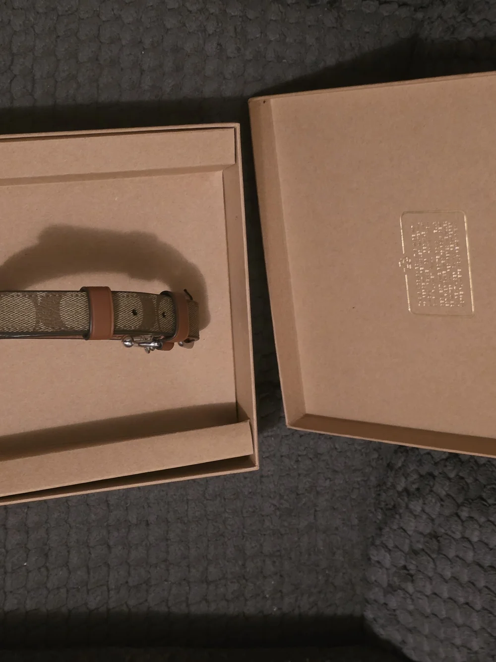 Coach Brown Leather Dog Collar with Silver Hardware M(ch146)